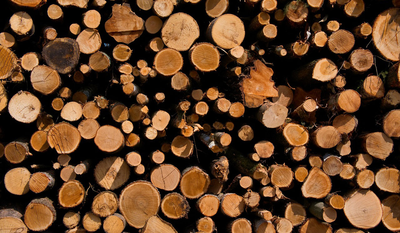 duurzaamheid in design drukwerk en website