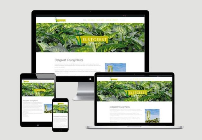 Website ontwikkelen