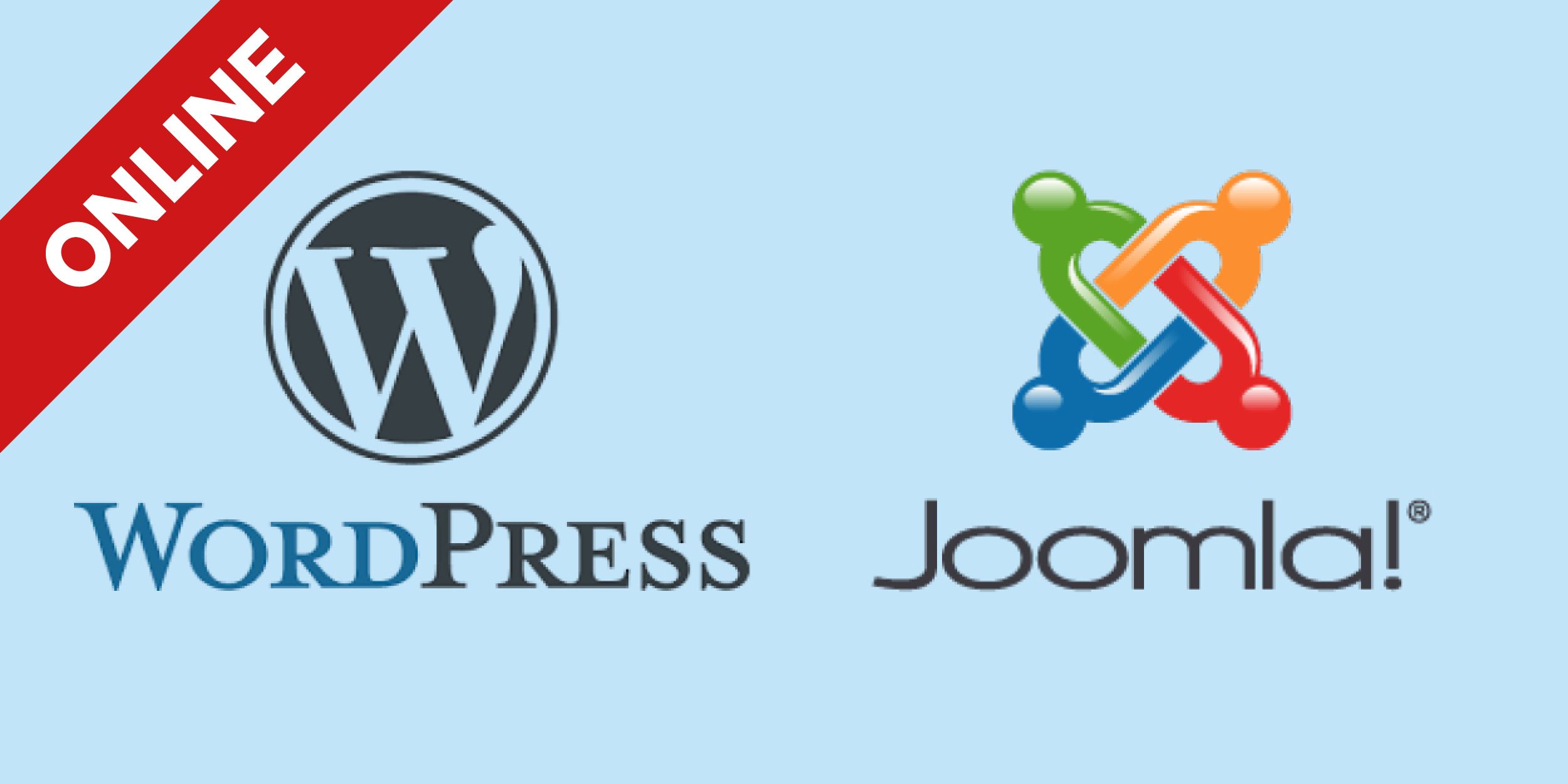 Wordpress /Joomla gebruikerstraining